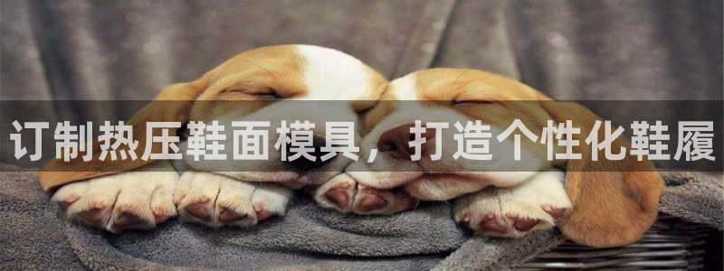易倍达科技有限公司官网：订制热压鞋面模具，打造个性化鞋履