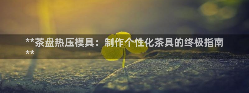 易倍纤怎么使用：**茶盘热压模具：制作个性化茶具的终极指