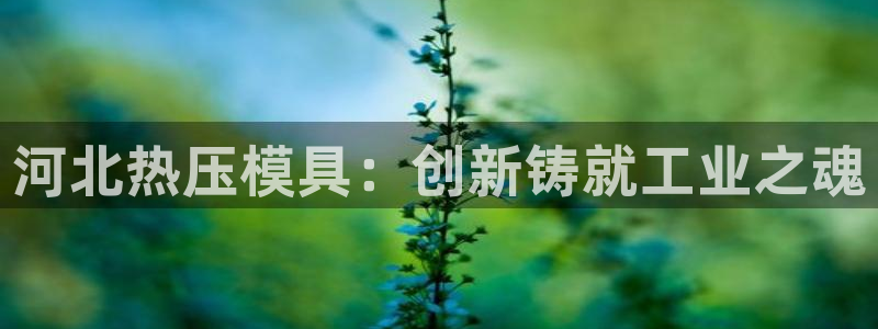 emcapp下载普通下载：河北热压模具：创新铸就工业之魂