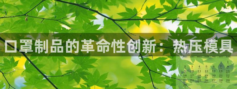 emc易倍官方下载：口罩制品的革命性创新：热压模具