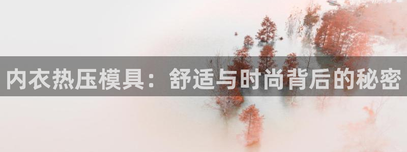 emc易倍账号异常：内衣热压模具：舒适与时尚背后的秘密