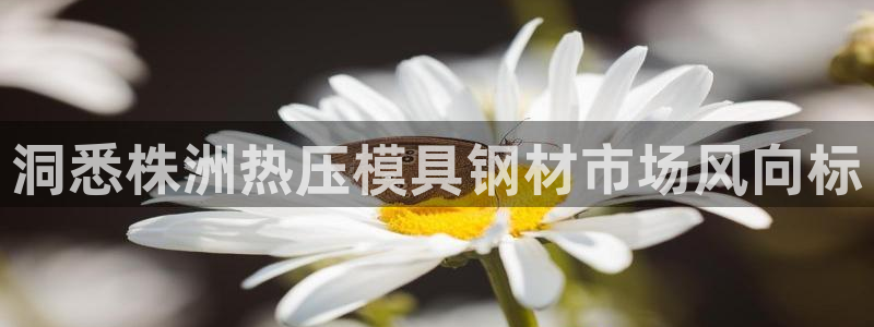 emc易倍电竞：洞悉株洲热压模具钢材市场风向标