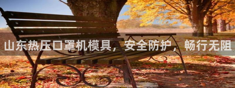 易倍达怎么样：山东热压口罩机模具，安全防护，畅行无阻