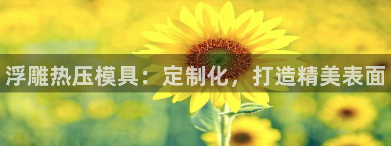 emc登录网站：浮雕热压模具：定制化，打造精美表面