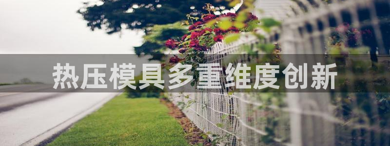 emc易倍在线登录：热压模具多重维度创新