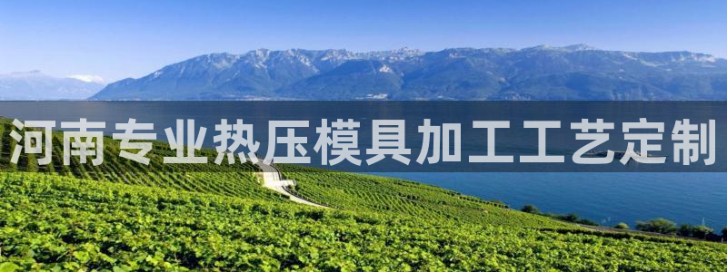 易倍申安理申区别：河南专业热压模具加工工艺定制