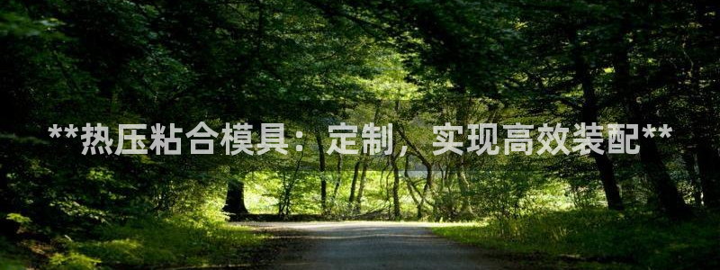 EMC易倍：**热压粘合模具：定制，实现高效装配**