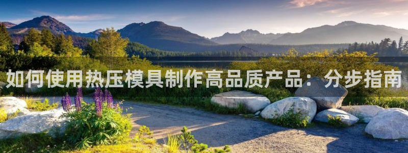 EMC倍频原理：如何使用热压模具制作高品质产品：分步指南