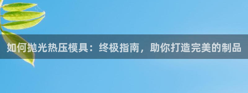 易倍网络技术有限公司官网：如何抛光热压模具：终极指南，助