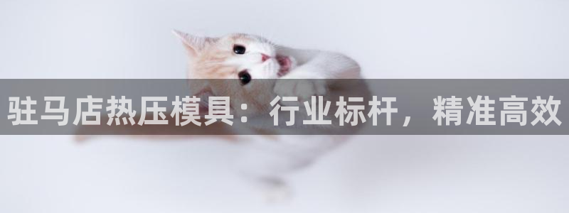 emc平台：驻马店热压模具：行业标杆，精准高效