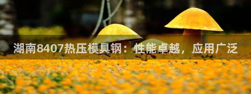 易倍单词官方网站下载：湖南8407热压模具钢：性能卓越，
