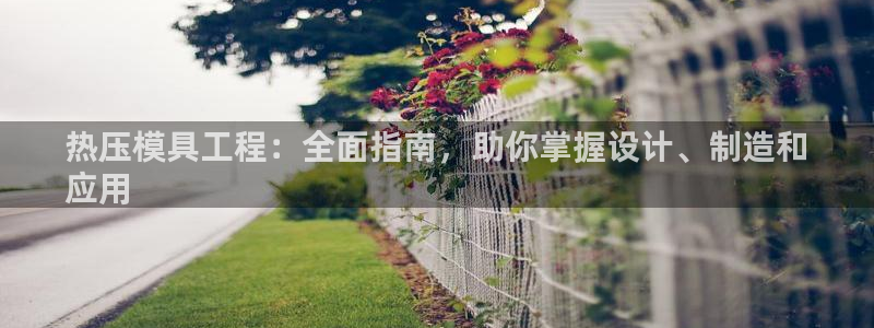 易倍申安理申区别：热压模具工程：全面指南，助你掌握设计、