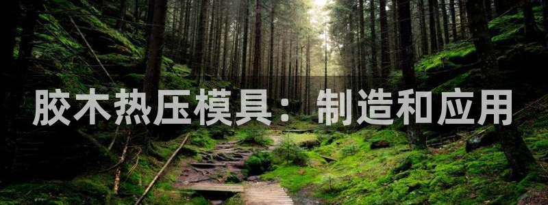 emc易倍官网app下载：胶木热压模具：制造和应用
