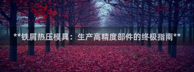 EMC易倍：**铁屑热压模具：生产高精度部件的终极指南*