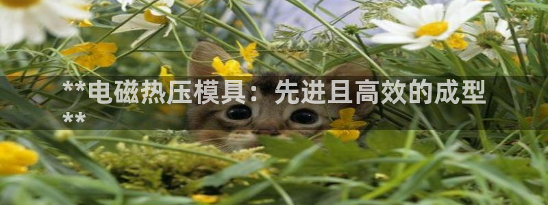 emc倍频干扰怎么解决：**电磁热压模具：先进且高效的成