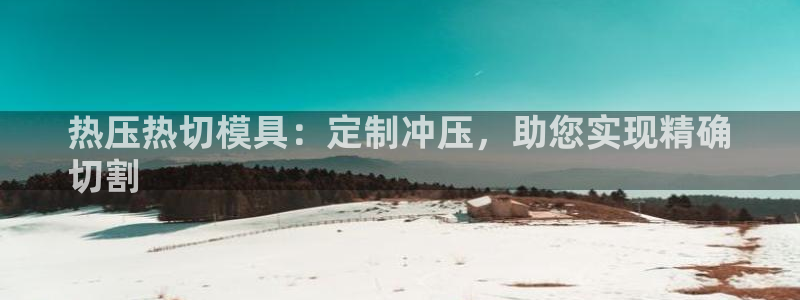 易倍申多少钱：热压热切模具：定制冲压，助您实现精确
切割