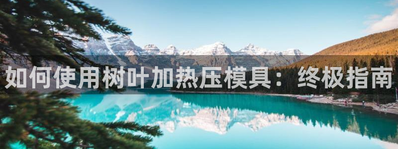 emc易倍官网首页：如何使用树叶加热压模具：终极指南