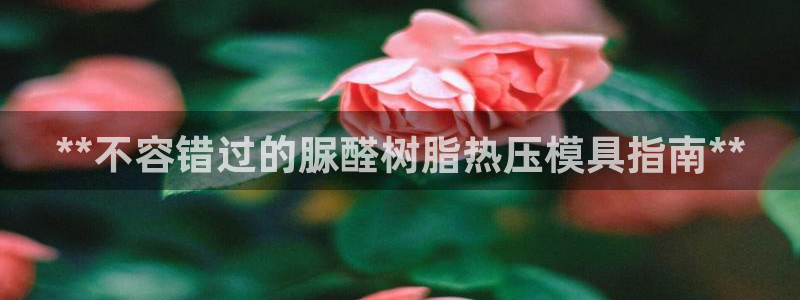 易倍纤代餐粉能减肥吗：**不容错过的脲醛树脂热压模具指南