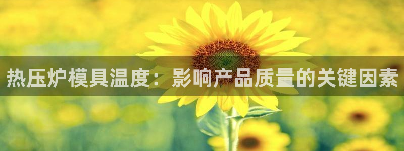 易倍申片的副作用：热压炉模具温度：影响产品质量的关键因素