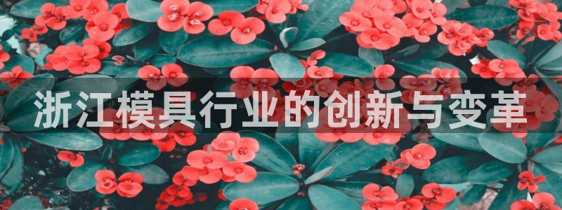 易倍申价格：浙江模具行业的创新与变革