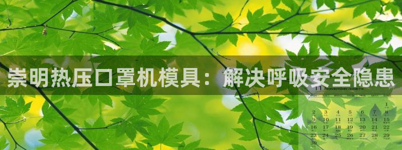 易倍下载：崇明热压口罩机模具：解决呼吸安全隐患