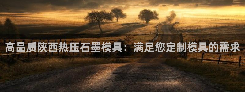 emc易倍平台：高品质陕西热压石墨模具：满足您定制模具的