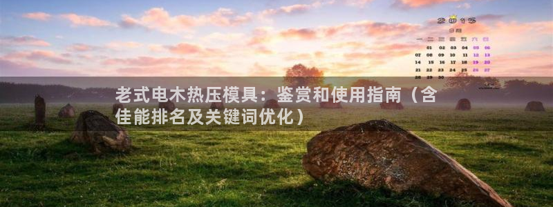 emc易倍官网：老式电木热压模具：鉴赏和使用指南（含
佳