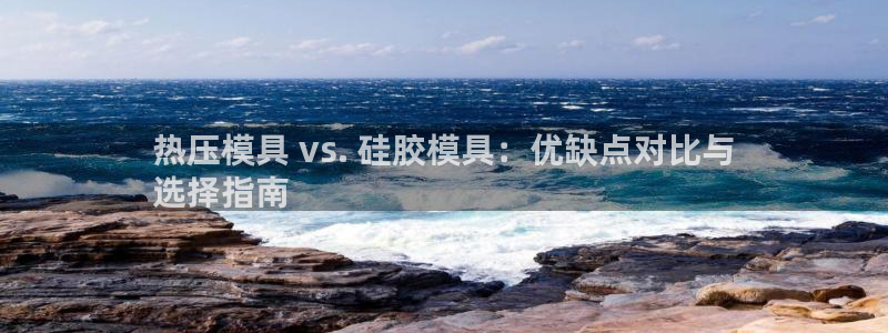 emc软件下载：热压模具 vs. 硅胶模具：优缺点对比与
