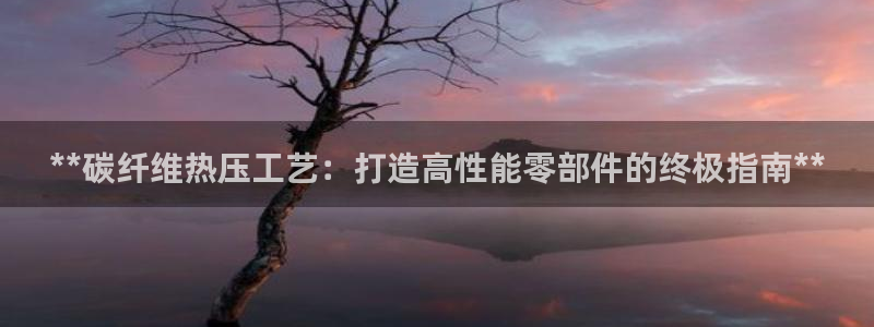 emc 倍频：**碳纤维热压工艺：打造高性能零部件的终极