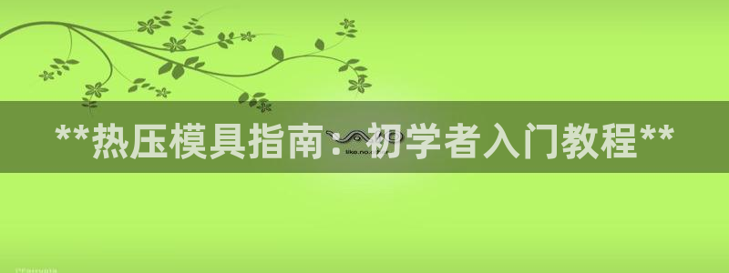 易倍达科技有限公司怎么样：**热压模具指南：初学者入门教