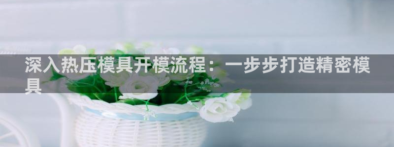 emc易倍老板：深入热压模具开模流程：一步步打造精密模
