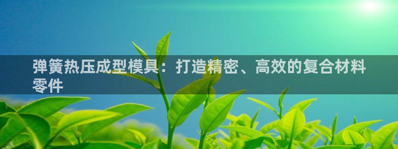 易倍下载地址：弹簧热压成型模具：打造精密、高效的复合材料