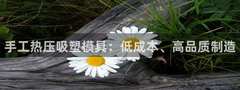 易倍网络技术有限公司是干嘛的：手工热压吸塑模具：低成本、