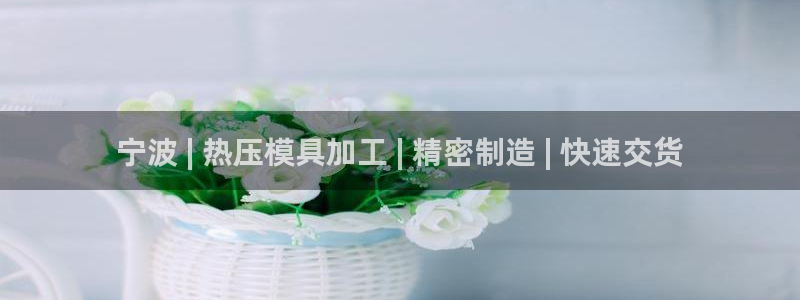 emc参数：宁波 | 热压模具加工 | 精密制造 | 快