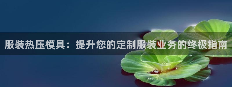 emc易倍官网app官网：服装热压模具：提升您的定制服装