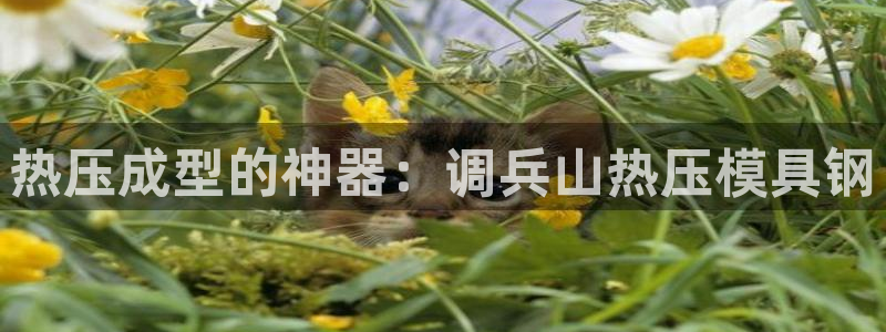 emc易倍网站是多少：热压成型的神器：调兵山热压模具钢