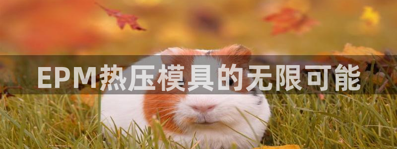 易倍下载手机版：EPM热压模具的无限可能