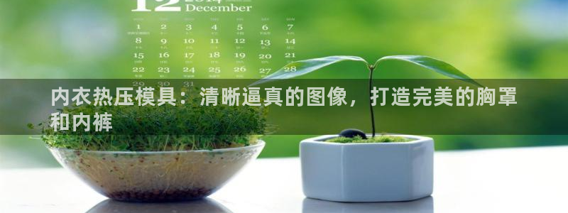 emc平台：内衣热压模具：清晰逼真的图像，打造完美的胸罩