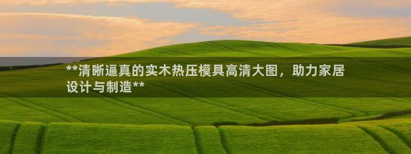 易倍思教育：**清晰逼真的实木热压模具高清大图，助力家居