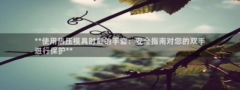 易倍网络技术有限公司是干嘛的：**使用热压模具时戴的手套