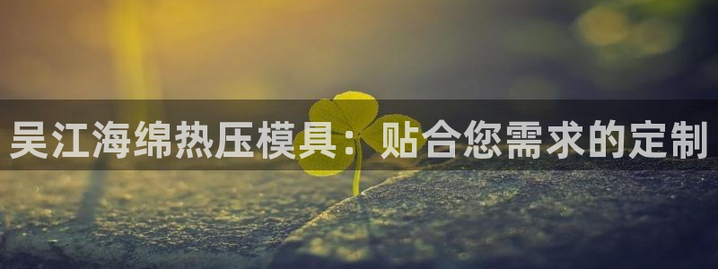 emc易倍在线登录：吴江海绵热压模具：贴合您需求的定制
