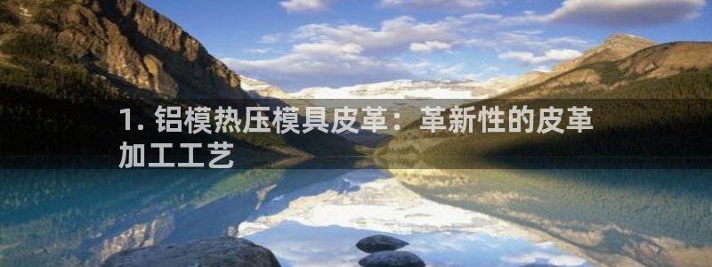 emc易贝体育怎么样：1. 铝模热压模具皮革：革新性的皮