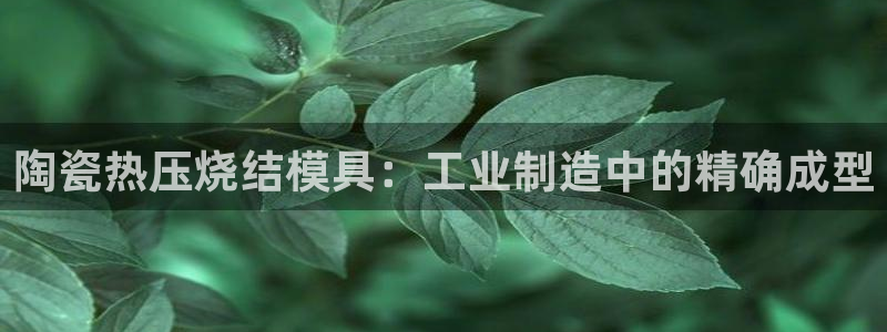 emcbet全站：陶瓷热压烧结模具：工业制造中的精确成型