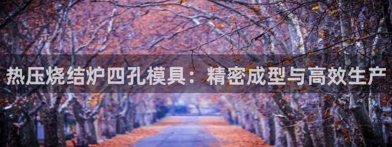 emc全站app下载：热压烧结炉四孔模具：精密成型与高效