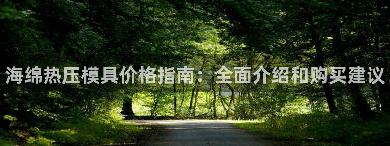 emc倍频干扰怎么解决：海绵热压模具价格指南：全面介绍和