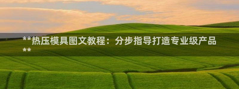 emc服务器是什么：**热压模具图文教程：分步指导打造专