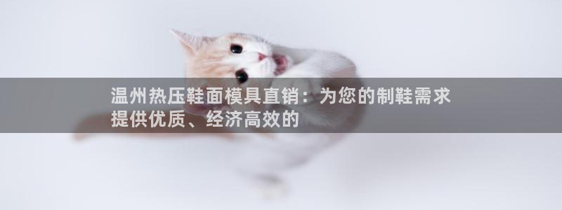 emc易倍网站是多少：温州热压鞋面模具直销：为您的制鞋需