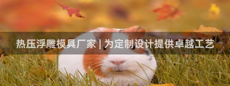 emc易倍官网app官网：热压浮雕模具厂家 | 为定制设