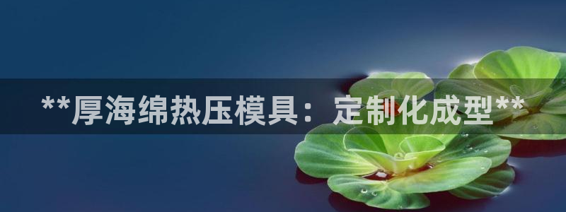 emc服务器是干啥的：**厚海绵热压模具：定制化成型**