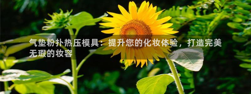南京易倍易电子科技有限公司：气垫粉扑热压模具：提升您的化
